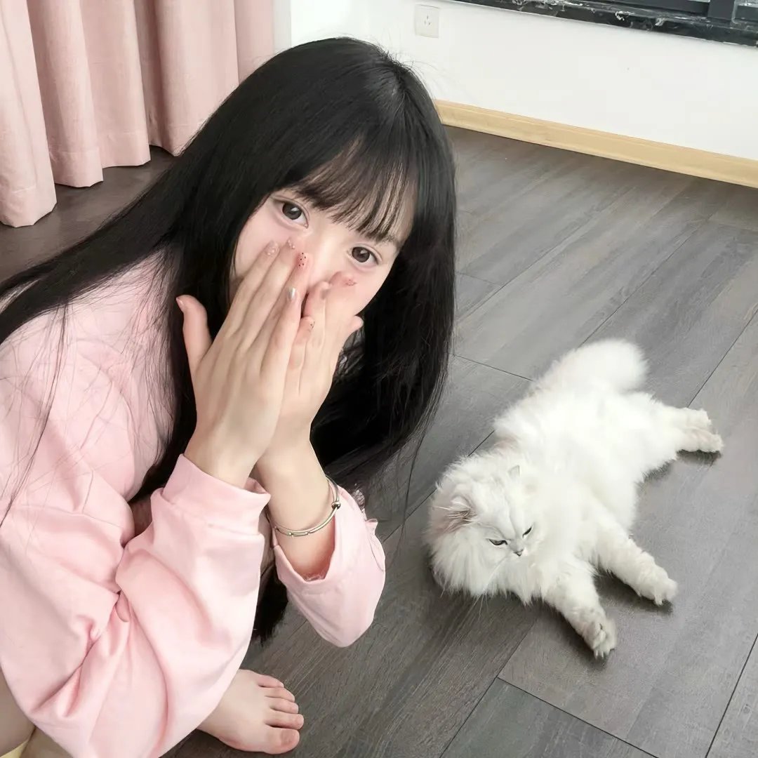 探灵档案